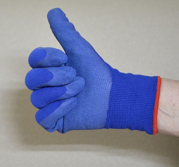 Grooming Handschuhe