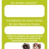 Hundesalon Terminkarten – Bild 4